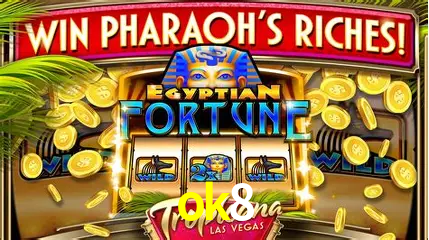 Descubra a Essência do ok8: Nossa História e Compromissos